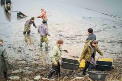 OBRAZEM: Rybáři v Očihově provedli výlov ryb. Práci jim ale ztěžovalo bahno
