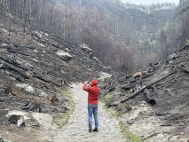 FOTOREPORTÁŽ: Obraz zkázy i obnovy. Národní park čtvrt roku po ničivém požáru