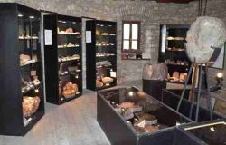 Návštěva z kraje se prošla Zkamenělým lesem, nejnovější expozicí lounského muzea