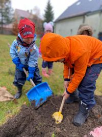 OBRAZEM: Děti z mateřinky na Hoře Sv. Šebestiána si zasadily stromky