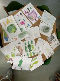 OBRAZEM: Vzdělávací projekt pro mateřské školy: Tajemná cesta za zeleným pokladem