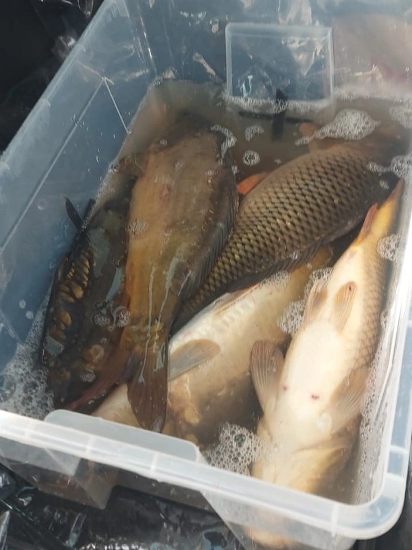 0311nechranky1 912b9