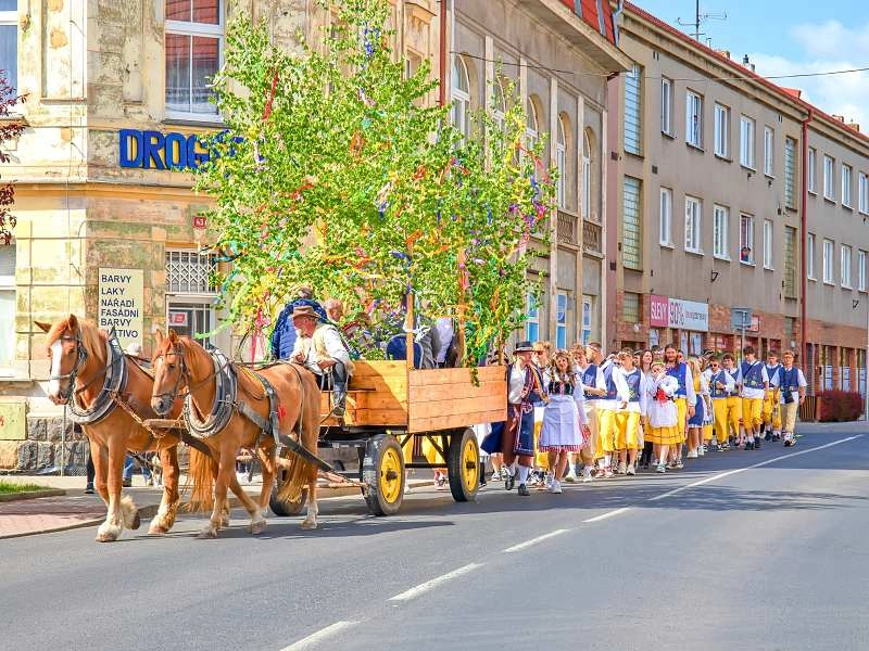 1905maje1 85941