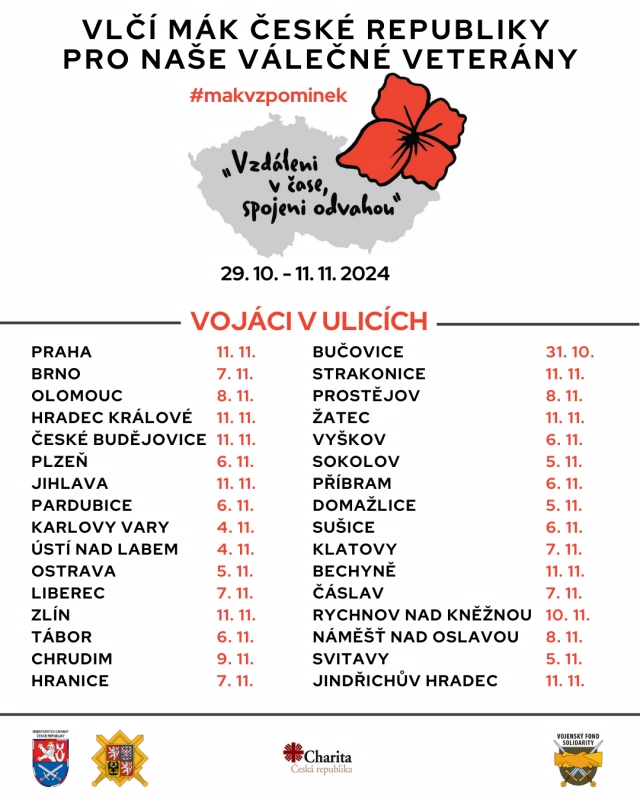 Vojáci v ulicích ae3ce