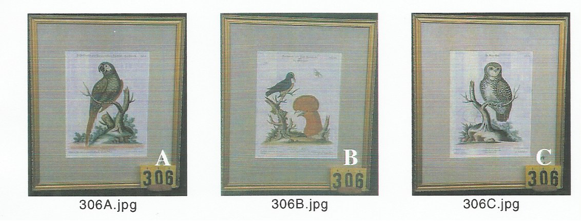 obrazy ptáků z knihy Vyšší Brod 93125