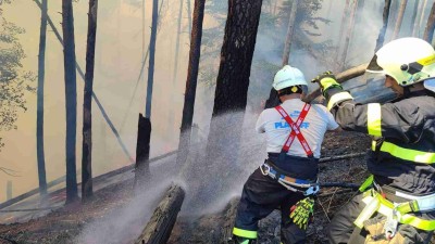 Hasiči zasahují u rozsáhlého požáru v Hřensku. Foto: Redakce