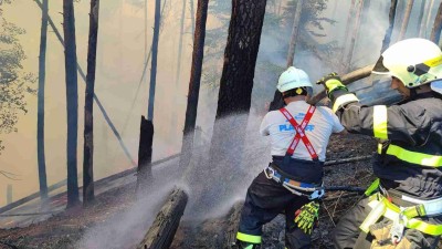 FOTO/AKTUALIZUJEME: U Hřenska zuří rozsáhlý požár. Hasiči vyhlásili mimořádný stupeň požárního poplachu