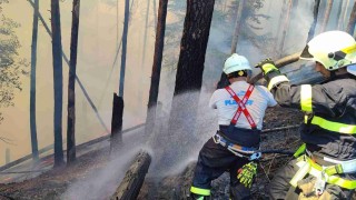 Hasiči zasahují u rozsáhlého požáru v Hřensku. Foto: Redakce