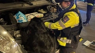 Foto: Celní správa ČR