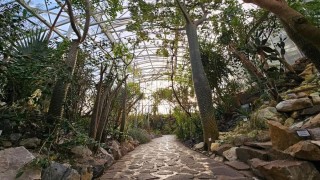 Botanick&aacute; zahrada Teplice