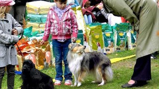Foto zdroj: Diamant Expo
