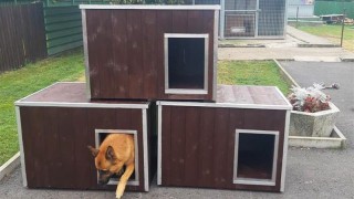 Do psího útulku přibyly tři nové boudy už v září. Také díky dárcům. Foto: archiv / MP Litvínov