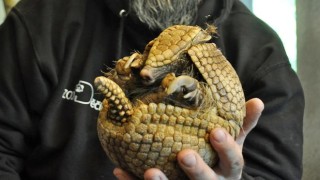 Foto: Zoo Děč&iacute;n