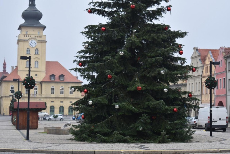 Vánoční strom na žateckém náměstí. Foto: město Žatec