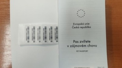 Žena si prodejem štěňat z množírny vydělala přes 800 tisíc. Podvedla nejméně dvacet lidí po celé republice