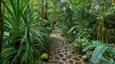 Jaro v botanick&eacute; zahradě: Od malovan&yacute;ch vaj&iacute;ček přes mluv&iacute;c&iacute; papou&scaron;ky až po humanoidn&iacute; roboty