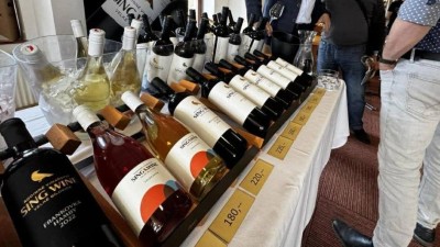 Dny v&iacute;na v Mostě opět l&aacute;kaj&iacute; na moravsk&eacute; chutě i cimb&aacute;lovou muziku