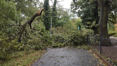 Foto: Zoopark Chomutov