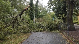 Foto: Zoopark Chomutov