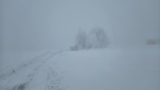 Takto to v těchto dnech vypad&aacute; na hor&aacute;ch, kontr&eacute;tně na Lesn&eacute;. Foto: Jitka Pavl&iacute;kov&aacute;