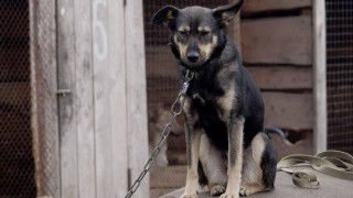 Ilustračn&iacute; foto: Pixabay / CC0