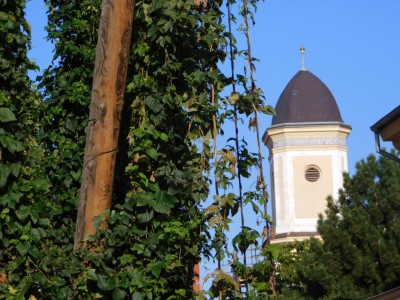 Foto zdroj: Město Žatec