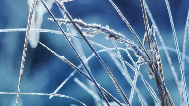 Ilustračn&iacute; foto: Pixabay / CC0