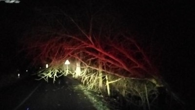 Silný vítr v noci polámal stromy a větve, hasiči zasahovali u jednadvaceti událostí