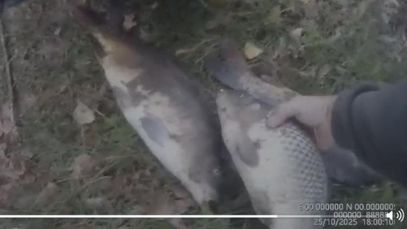 Na Nechranicích bFoto zdroj: FCB Český rybářský svaz, z. s., Severočeský územní svaz