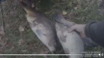 Rybářská stráž zasahovala: Zadržela povolenky za ukryté kapry v autě i lov na tři pruty