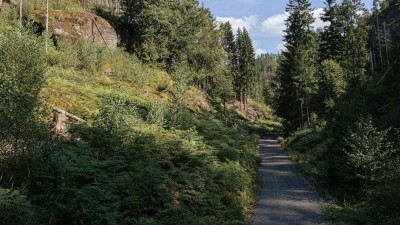 TIP NA VÝLET: Cyklostezka v Hlubokém dole opět slouží cyklistům, riziko pádu stromů se snížilo