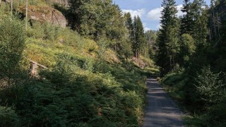 Cyklotrasa Hlubokým dolem v NP České Švýcarsko. Foto: Marek Král
