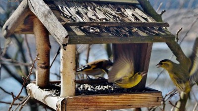 Ilustračn&iacute; foto: Pixabay / CC0