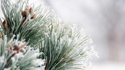 Zažili jsme zatím nejmrazivější ráno sezóny 2025/2026, v Krušných horách bylo -25 °C