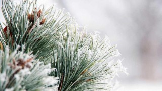 Ilustrační foto: Pixabay / CC0