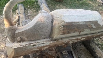 Na Lesné se rodí noví brouci – pomocí motorové pily a dlát
