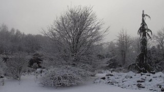 Foto: Botanická zahrada Teplice