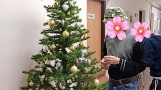 Klienti Azylov&eacute; domu pro muže v Lounech si sami nazdobili stromeček. Foto: Azylov&yacute; dům Louny