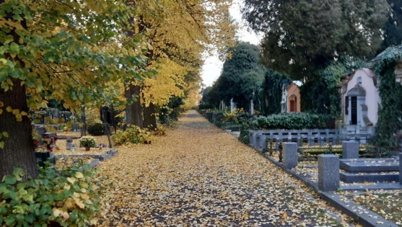 Městský hřbitov v Žatci bude od 28. 10. do 2. 11. otevřen do 19 hodin. Foto: MÚ Žatec
