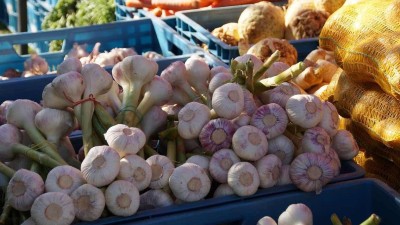 Týden v Žatci: Posezení pro pečující, divadelní festival a farmářské trhy