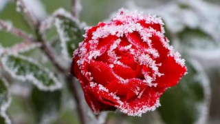 Ilustrační foto: Pixabay / CC0