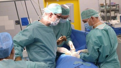 V ústecké Masarykově nemocnici operovali dětskou pacientku s využitím technologie 3D tisku a VR brýlí