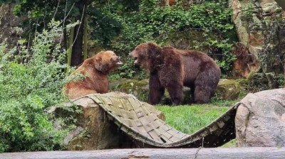 Foto: Zoo Děčín