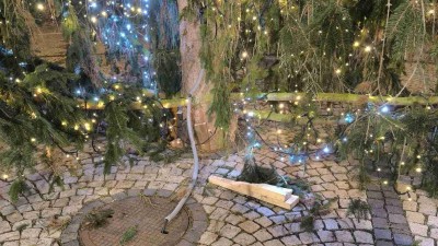 Hazard se životy na n&aacute;měst&iacute;: Vandal v Žatci vyj&iacute;m&aacute; kl&iacute;ny u v&aacute;nočn&iacute;ch stromů