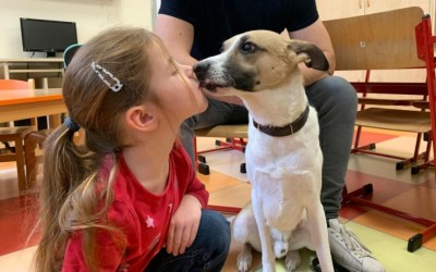 OBRAZEM: Filmová psí hvězda rozdávala radost. Pes Gump přijel potěšit děti v nemocnici