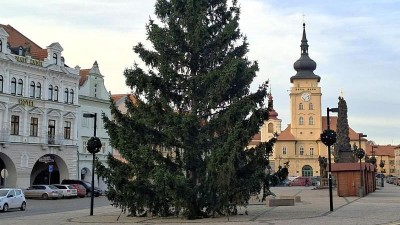 Vánoční strom do centra Žatce darovali občané z Deštnice