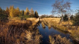 Foto zdroj: Karlovarský kraj