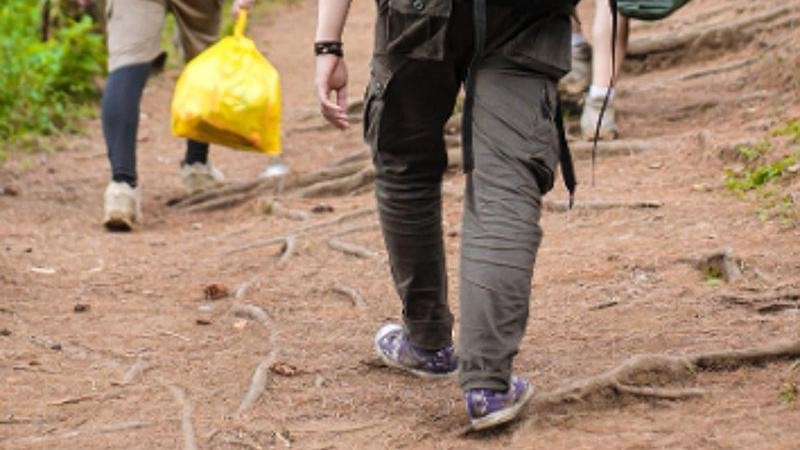 Ilustračn&iacute; sn&iacute;mek. Zdroj: Pixabay / CC0