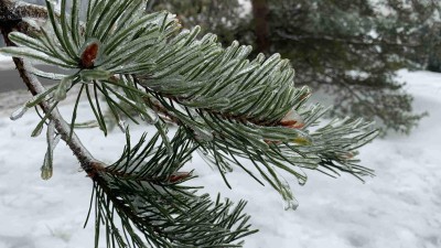 Zažíváme teplotní vrchol (spíše dno) sezóny. Teploty v noci klesly pod -20 °C