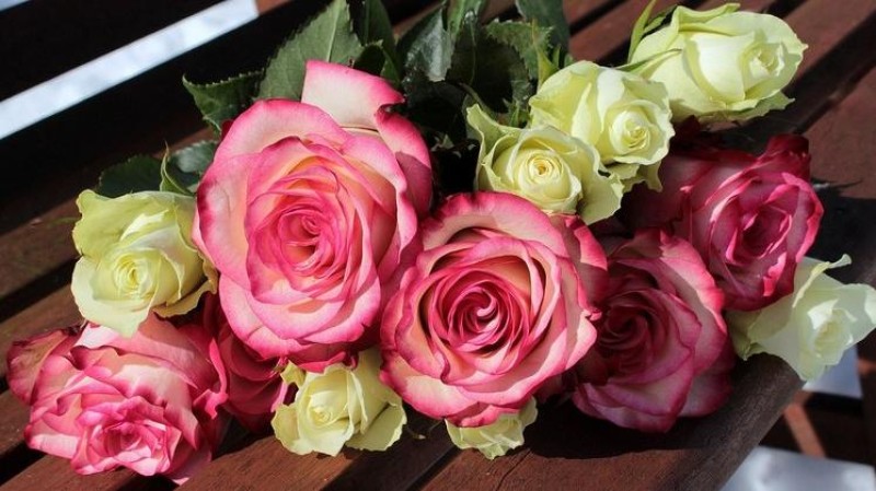 Ilustračn&iacute; foto: Pixabay / CC0